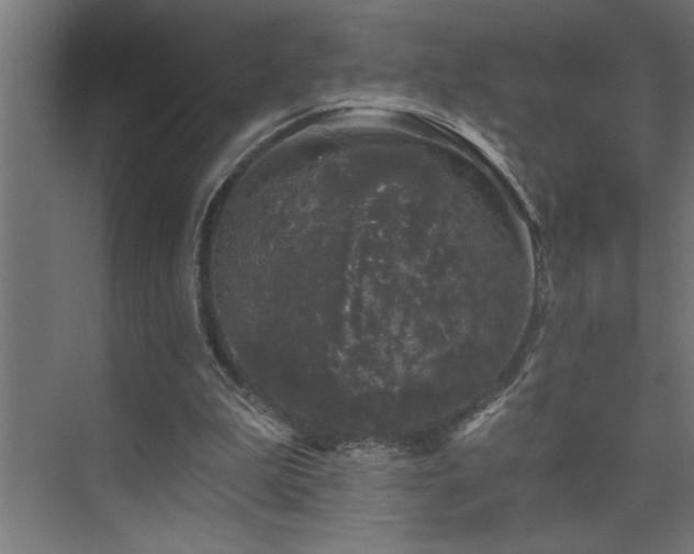 X0000074260199200608251235