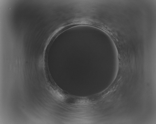 X0000074260200200608251235