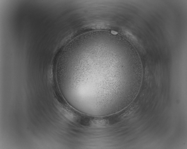 X0000074260202200608251235