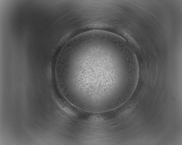 X0000074260207200608251235