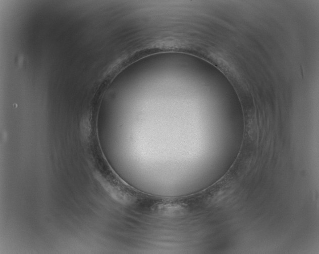 X0000074260208200608251235