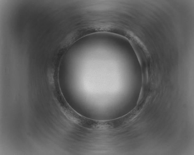 X0000074260209200608251235