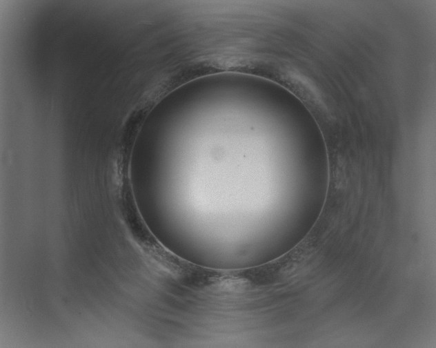 X0000074260210200608251235