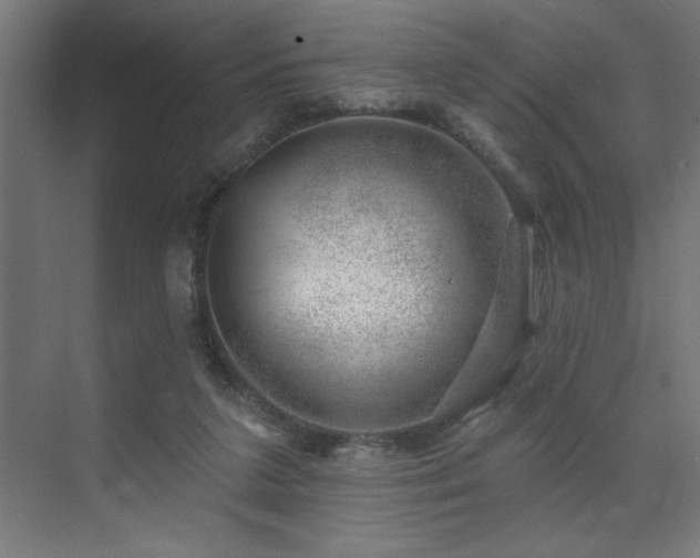 X0000074260211200608251235