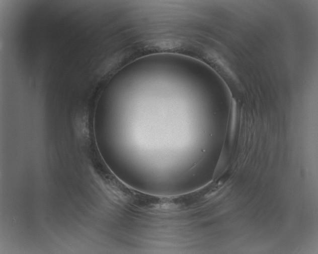 X0000074260212200608251235