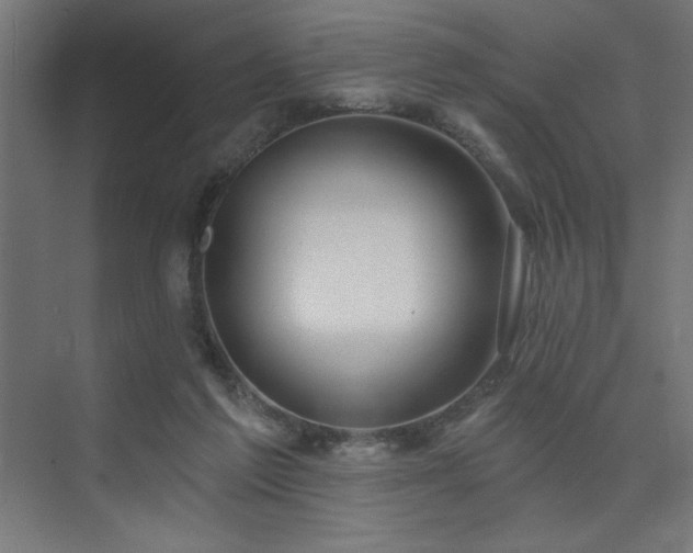 X0000074260213200608251235