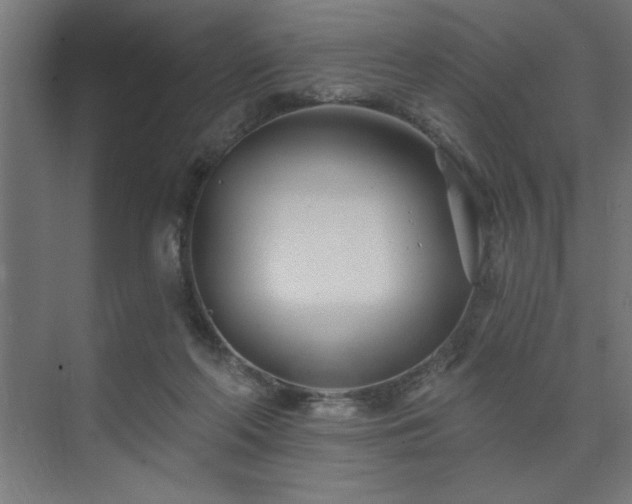 X0000074260214200608251235