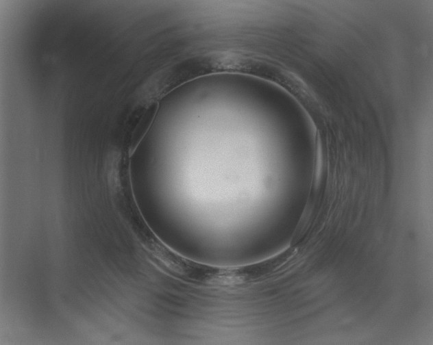 X0000074260217200608251234