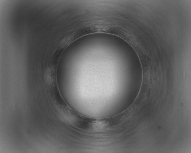 X0000074260218200608251234