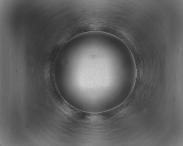 X0000074260221200608251234