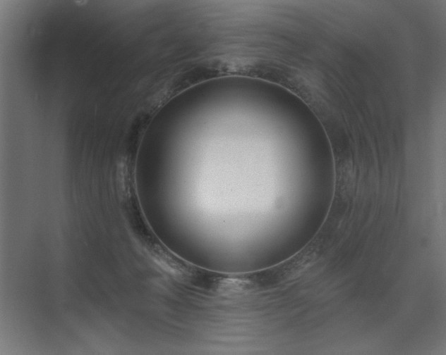 X0000074260222200608251234