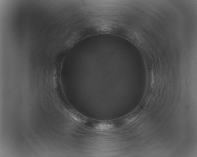 X0000074260223200608251234