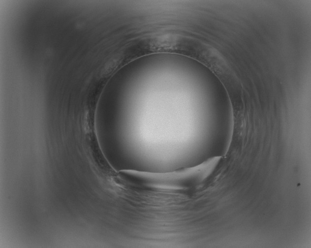 X0000074260224200608251234