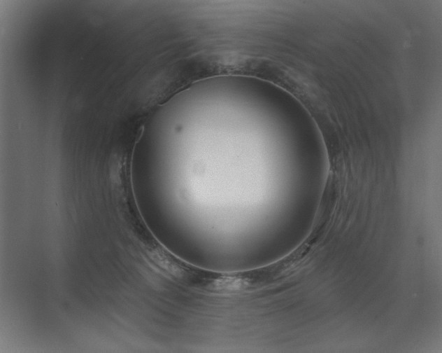 X0000074260225200608251234