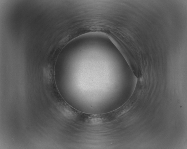 X0000074260228200608251234