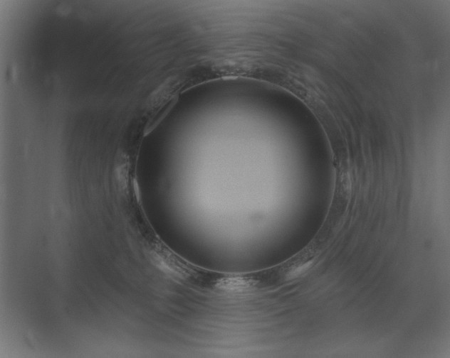 X0000074260231200608251234