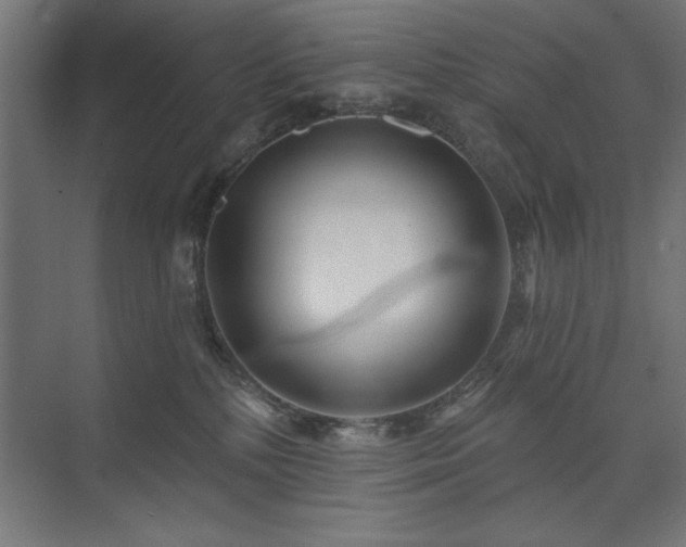 X0000074260232200608251234