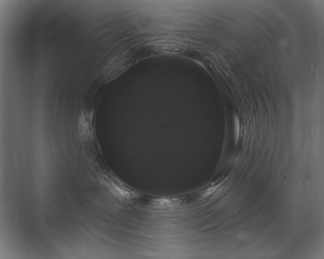 X0000074260239200608251234