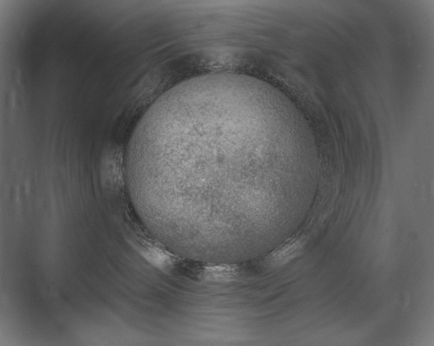 X0000074260240200608251234