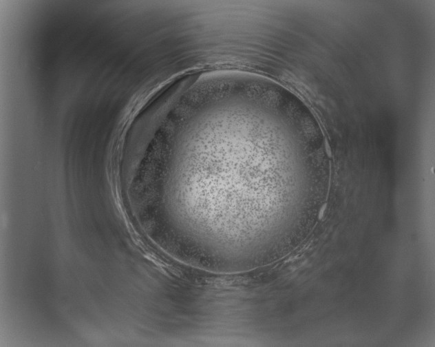 X0000074260241200608251233