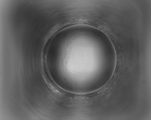 X0000074260242200608251233