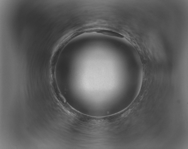 X0000074260245200608251233