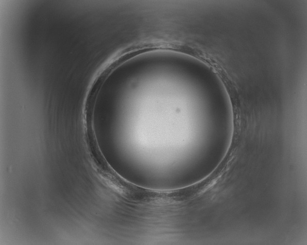 X0000074260246200608251233