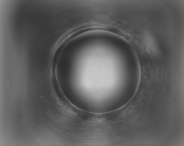 X0000074260247200608251233