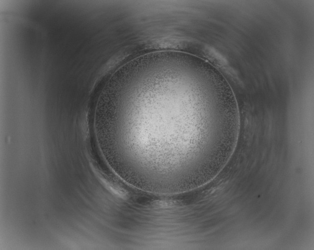 X0000074260250200608251233