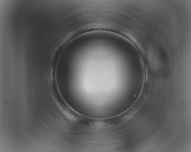 X0000074260253200608251233