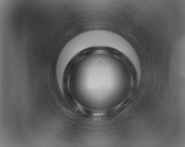 X0000074260264200608251234