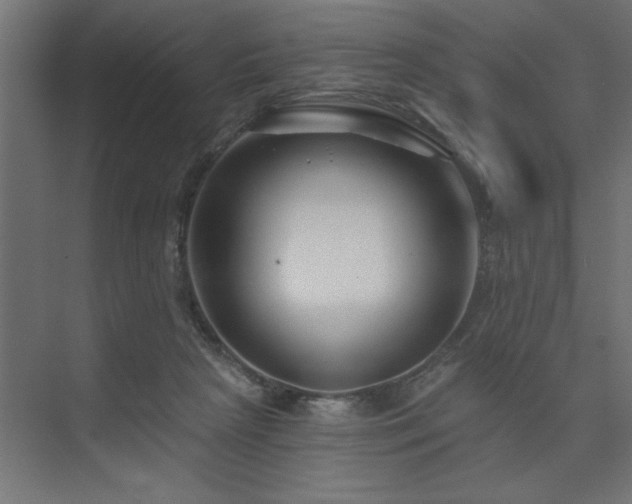 X0000074260265200608251234