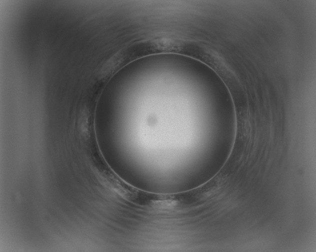 X0000074260266200608251234