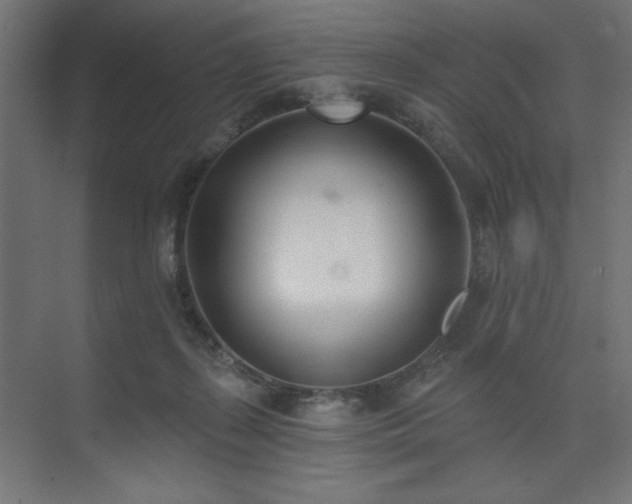 X0000074260267200608251234