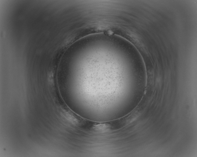 X0000074260269200608251234