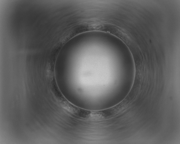 X0000074260270200608251234