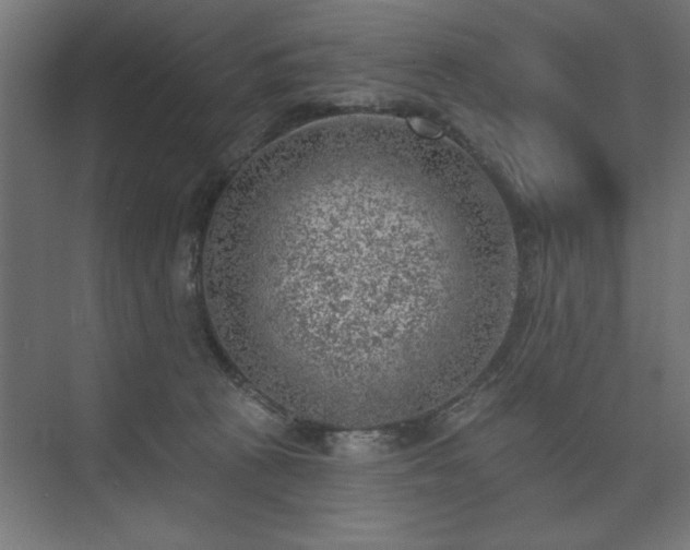 X0000074260273200608251234