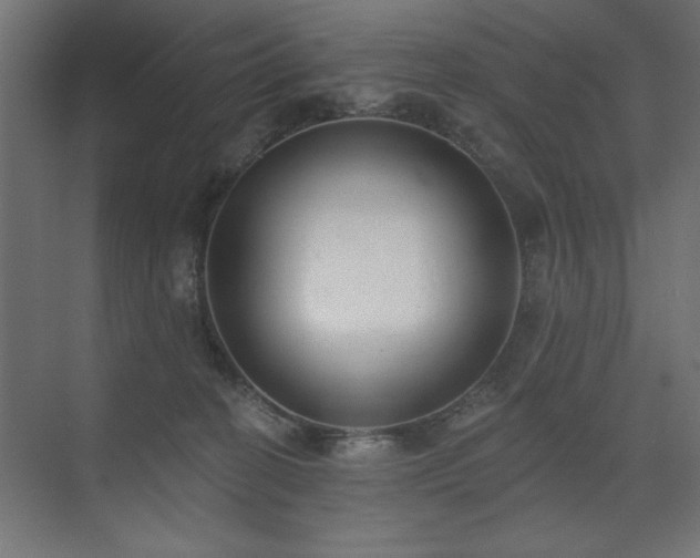 X0000074260274200608251234