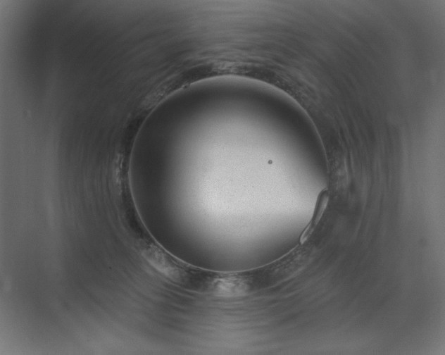 X0000074260275200608251234