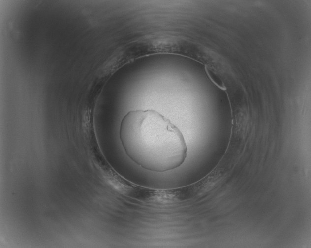 X0000074260278200608251234