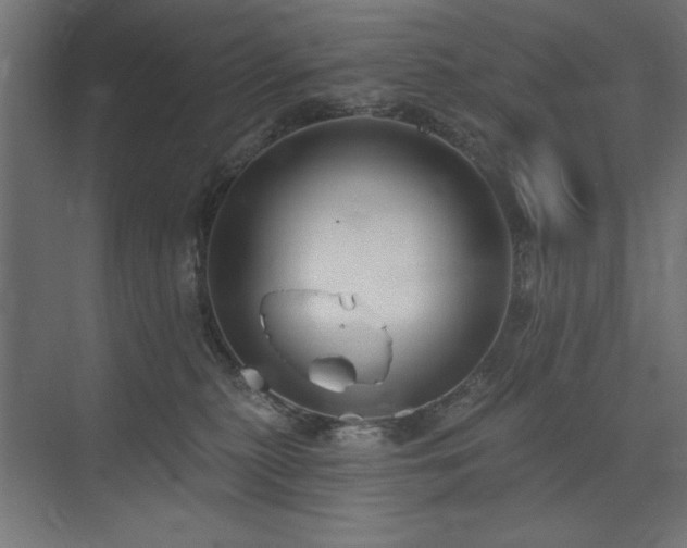 X0000074260279200608251234