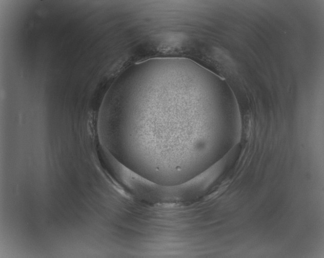 X0000074260280200608251234