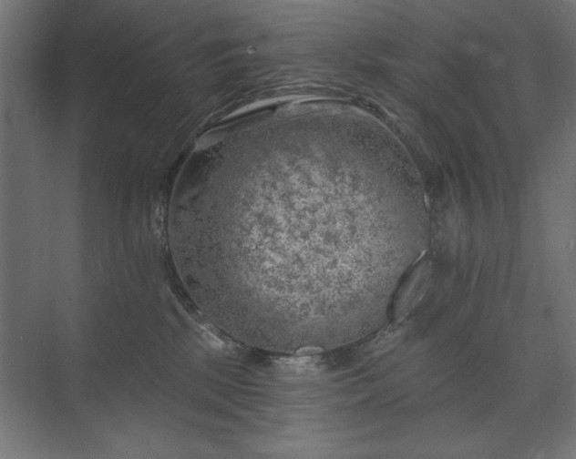 X0000074260281200608251234