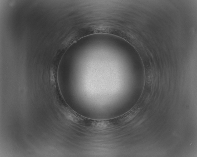 X0000074260282200608251234