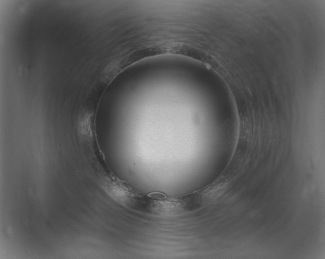 X0000074260286200608251234