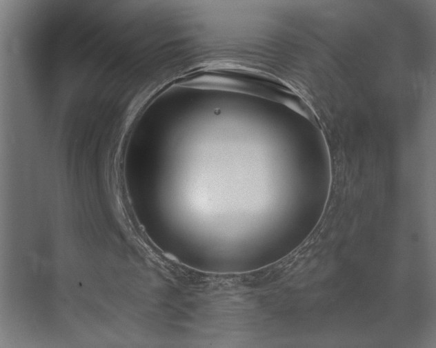 X0000074260289200608251233