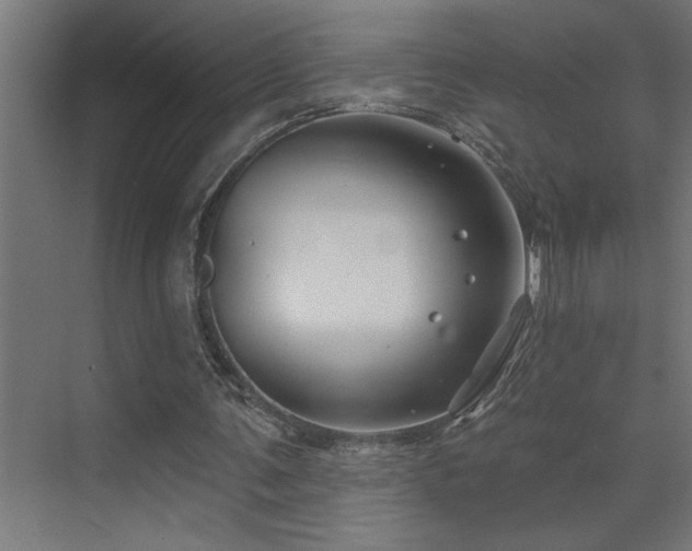 X0000074260291200608251233