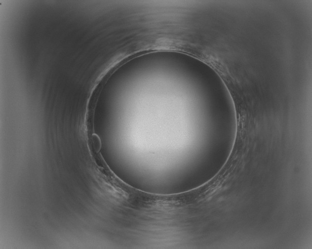 X0000074260292200608251233