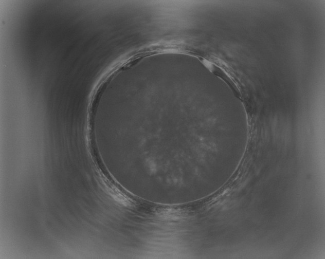 X0000074260293200608251233