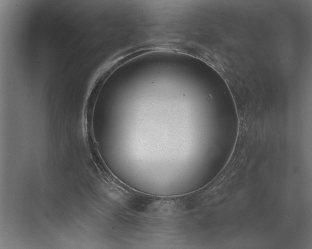 X0000074260294200608251233